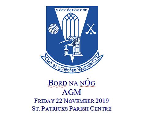 Bord na nÓg AGM and nominations for 2020